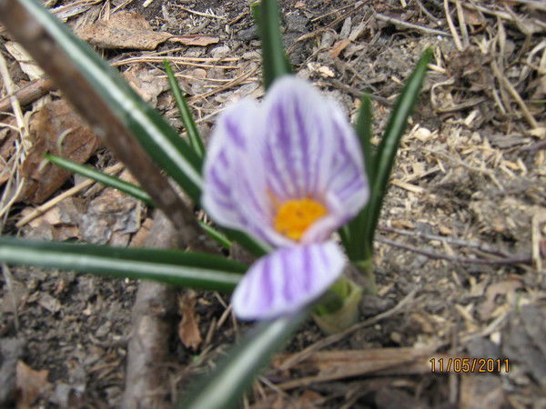 Вера Закирова