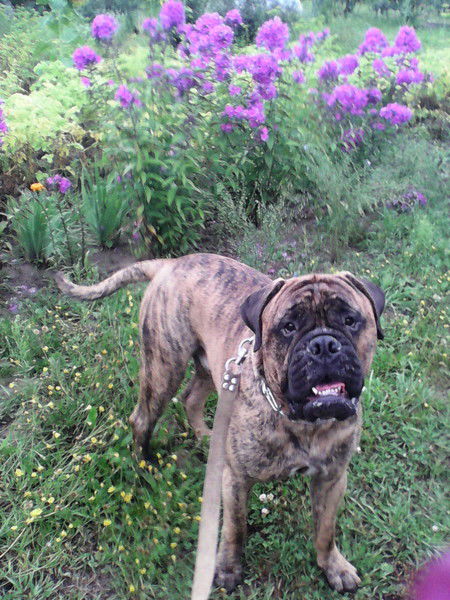 Анастасия Александровна Иютина