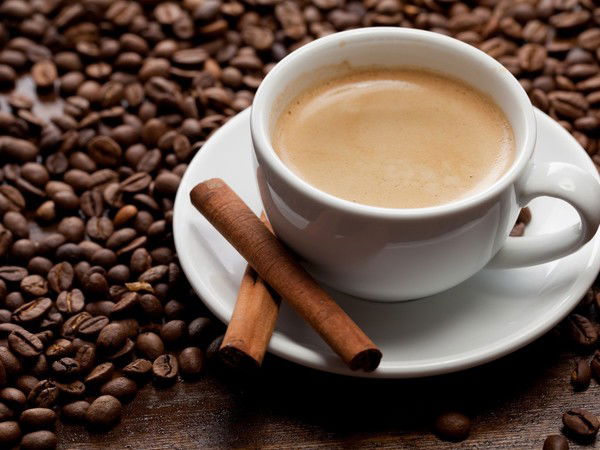 Светлана Лапина