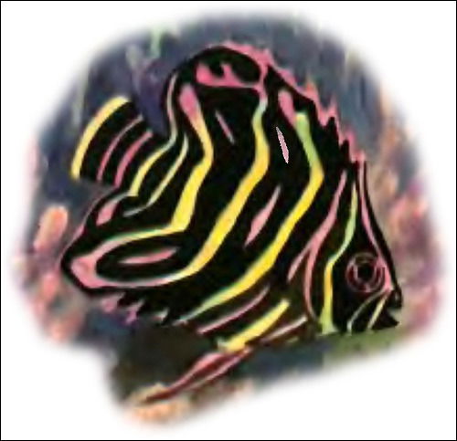 Коваленко Олег