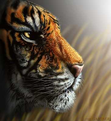 Евгений Будаев