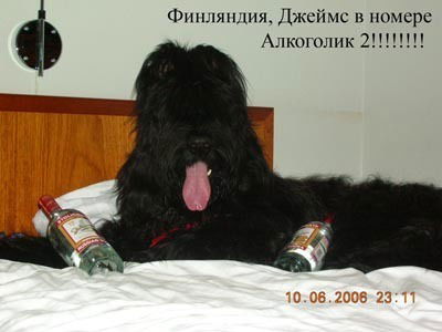 Татьяна Аристархова