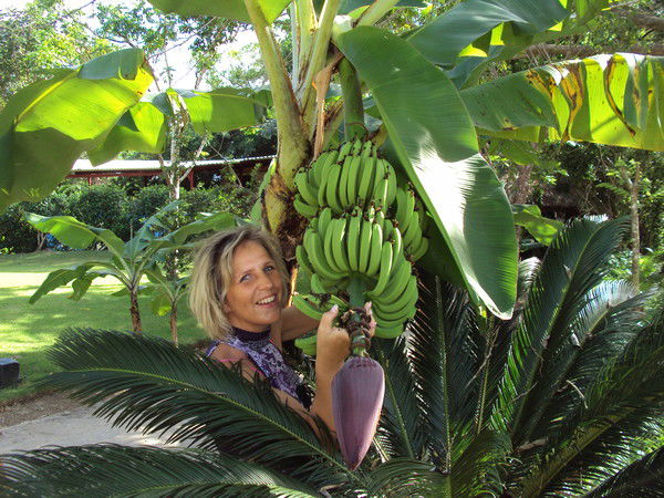 Елена Комлюхина