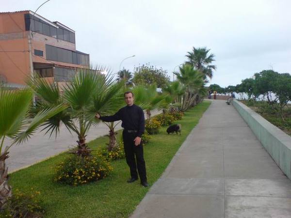 Александр Павленок