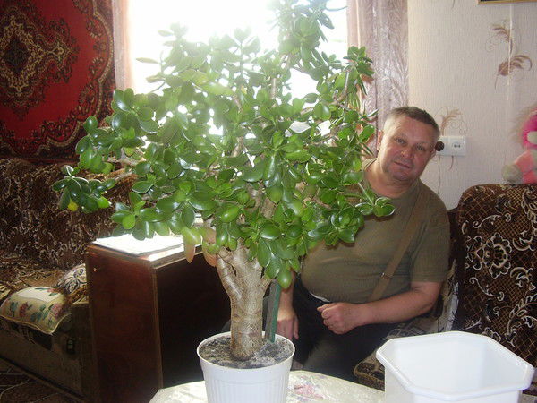 Александр Михальченков