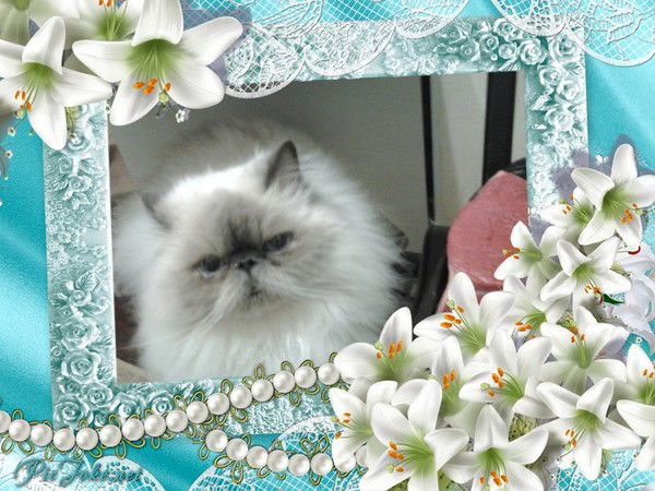 Зинаида Панкратова