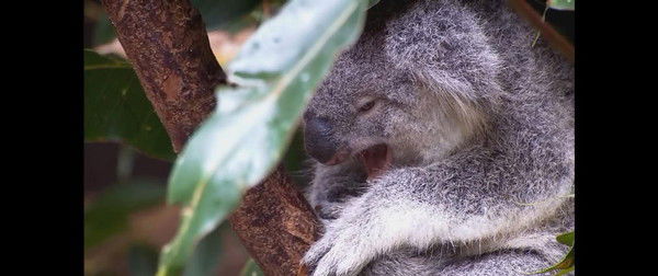 Сергей Чернышев