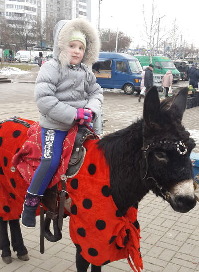 Танюша Молчанович