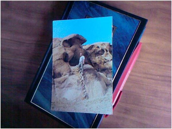 Владимир Торбоков