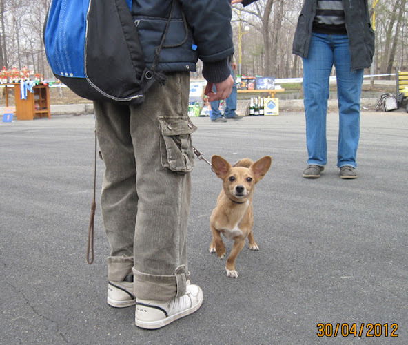 Григорий Сидоров