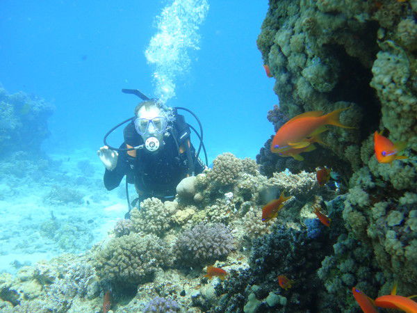 Евгений Евген