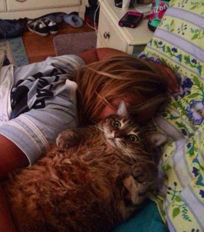 Даша Ульянова