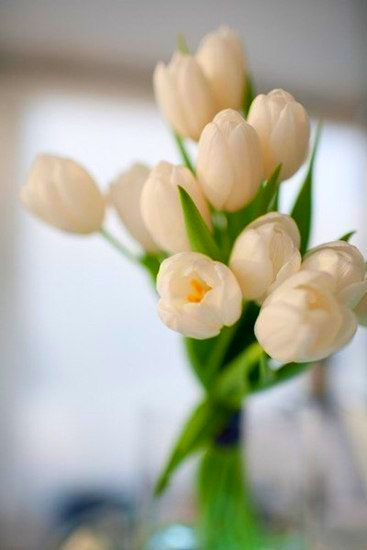 Сымбат Ибраева