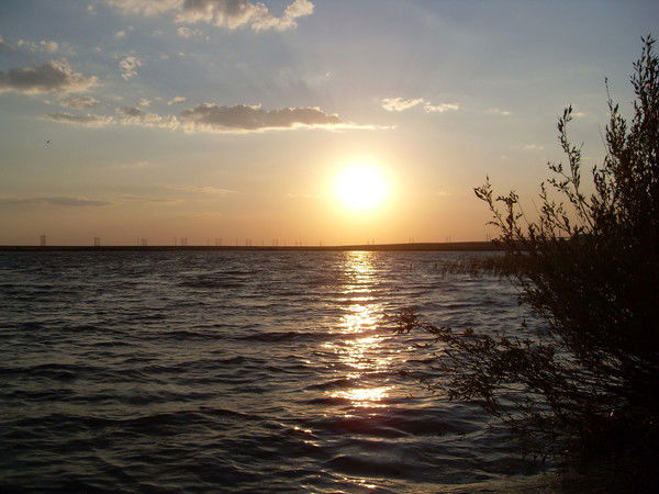 Лена Рябова