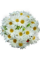 Анар Акимова