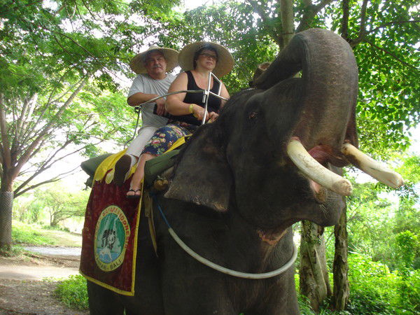 Наталья Ибатулина