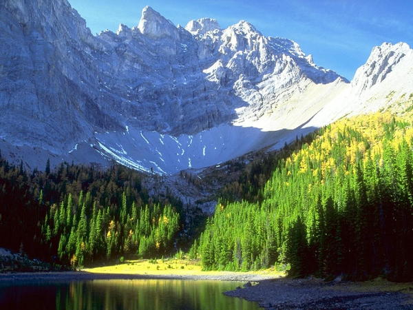 Галина Розний