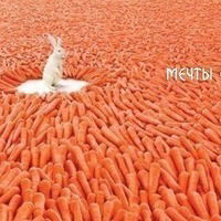 Наталья Дубровская