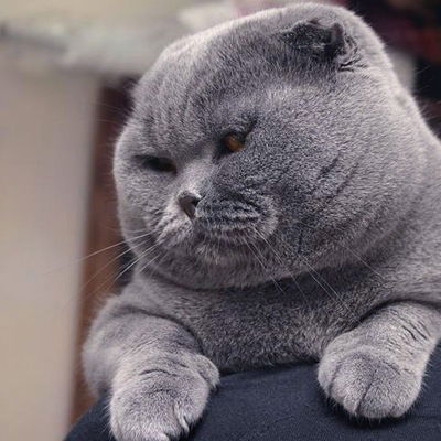 Сергей Пирожков