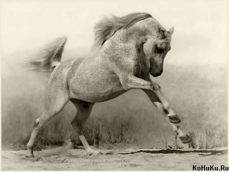 Булат Исмагулов