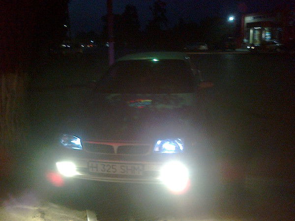 Максим Толокольников