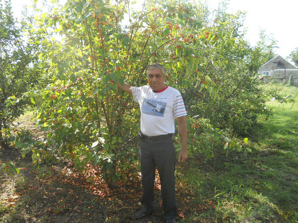 Владимир Миргородский