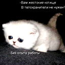 Αλέξιος A.