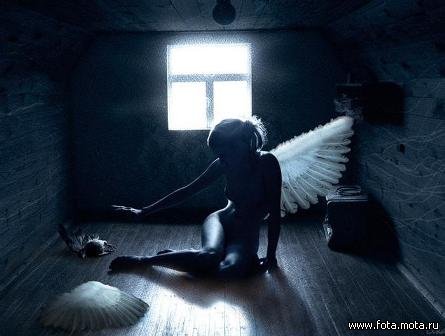 Саша Снегирева