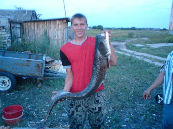 Юрий Филимошкин