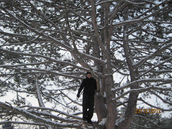 Сергей Золотоноша