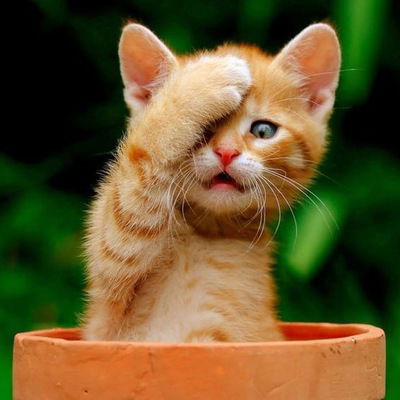 Татьяна Тихонова