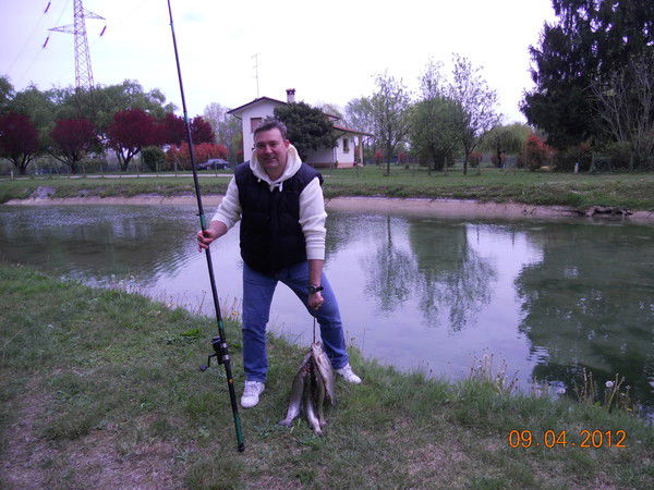 Алексей Алисов