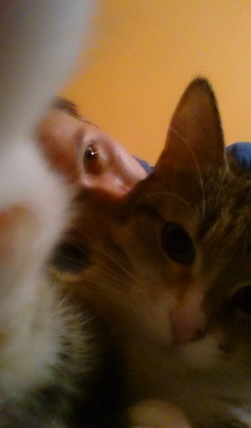 Денис Кутузов