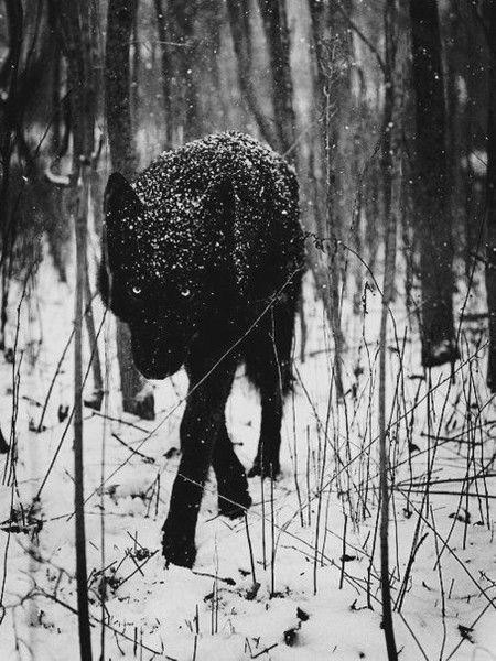 Екатерина Шаркова