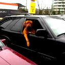 Александр Тимофеев