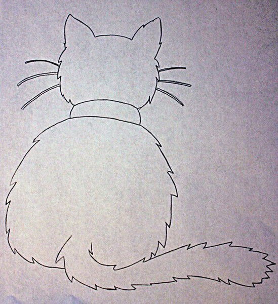 Зоотовары Новокузнецк