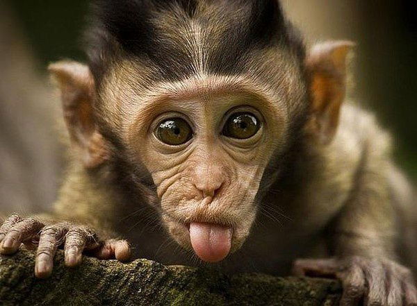 Полина Нефедова