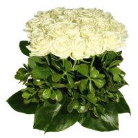 Салтанат Мукашева