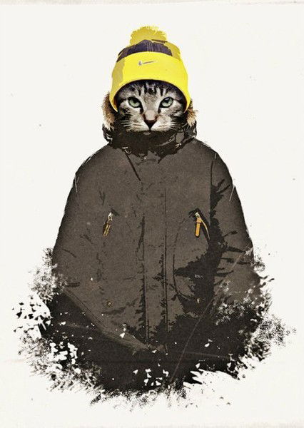 Денис Старшинов