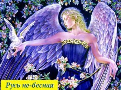 Альбина Кожуховская