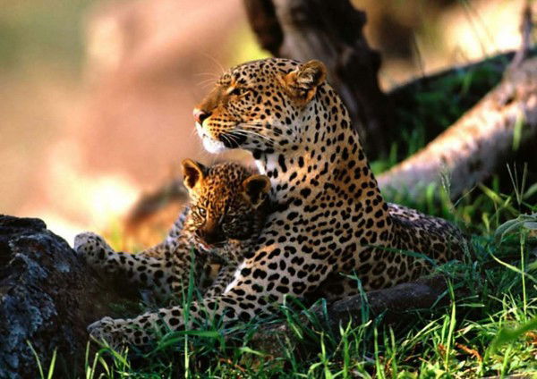 Макарова Ольга