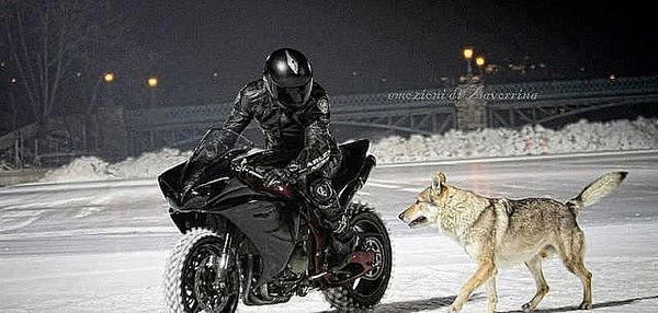 Смирнов Денис