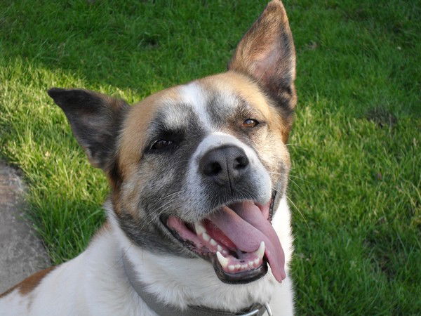 Юрий Бариленко