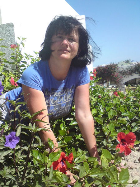 Елена Комиссарова