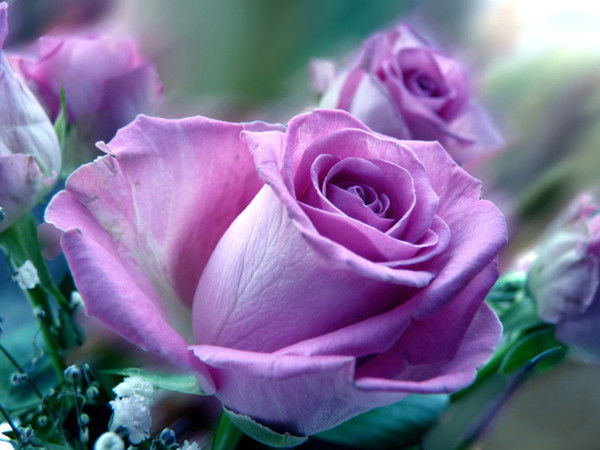 Ёжикова Лариса