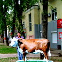 Ванрио Лнеекп