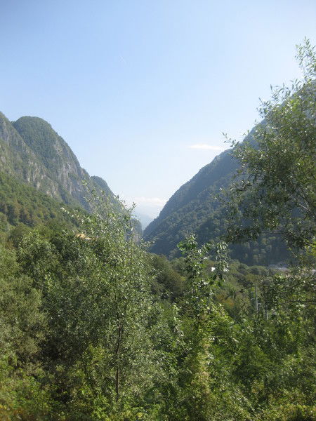 Тома Пухонина