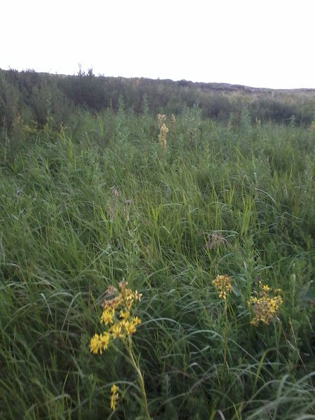 Ардах Тажибеков