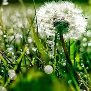 Людмила Милюшенко