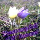 Жанабет Ауылы